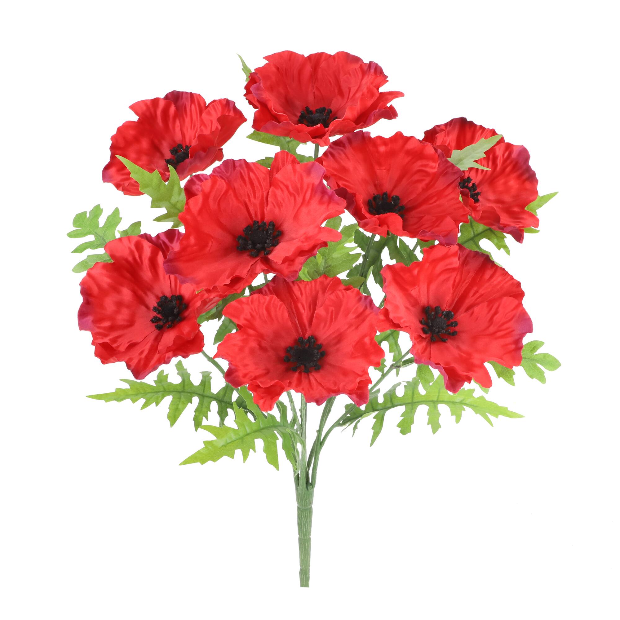 20" Red Poppy Bush by Ashland®